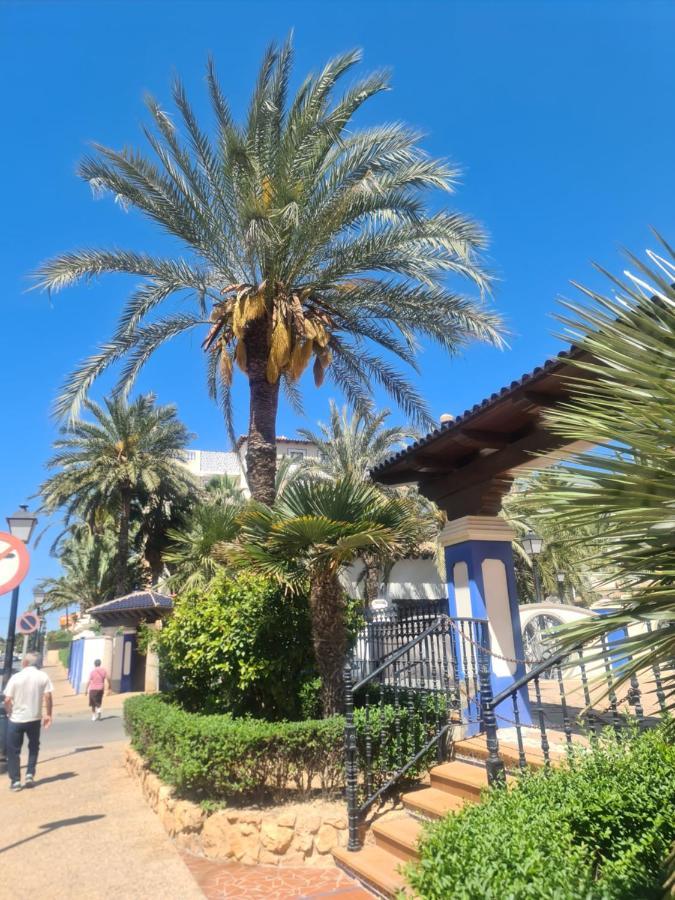 Appartamento La Dama Torrevieja Esterno foto
